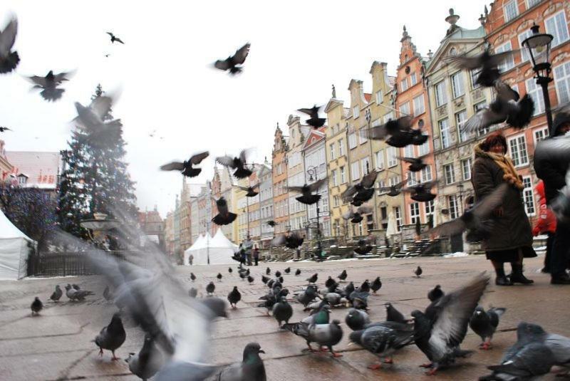 Apartament Sloneczne Poludnie Gdansk Ngoại thất bức ảnh
